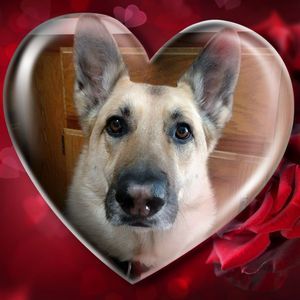 Meet your Posher, Cheryl